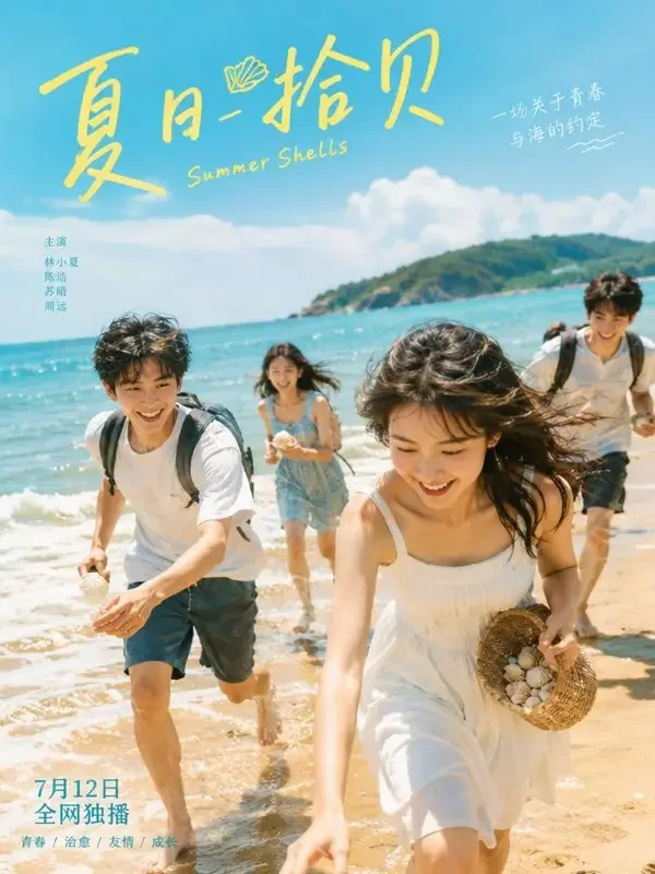 拾贝壳的夏天 封面